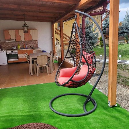 Vila Ana Cu Terasa Gratar Si Jacuzzi Villa Satu Mare Exteriör bild