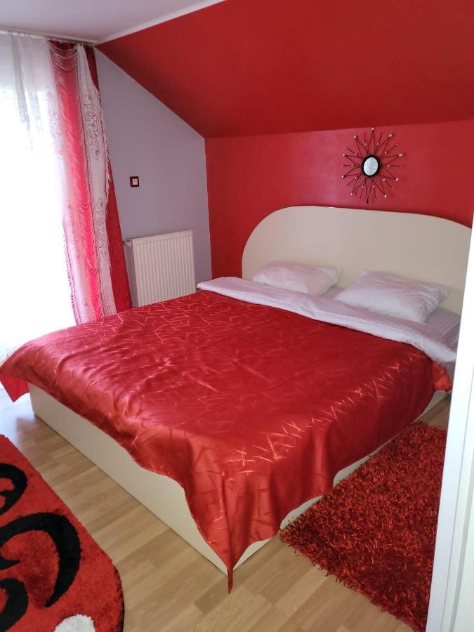 Vila Ana Cu Terasa Gratar Si Jacuzzi Villa Satu Mare Exteriör bild