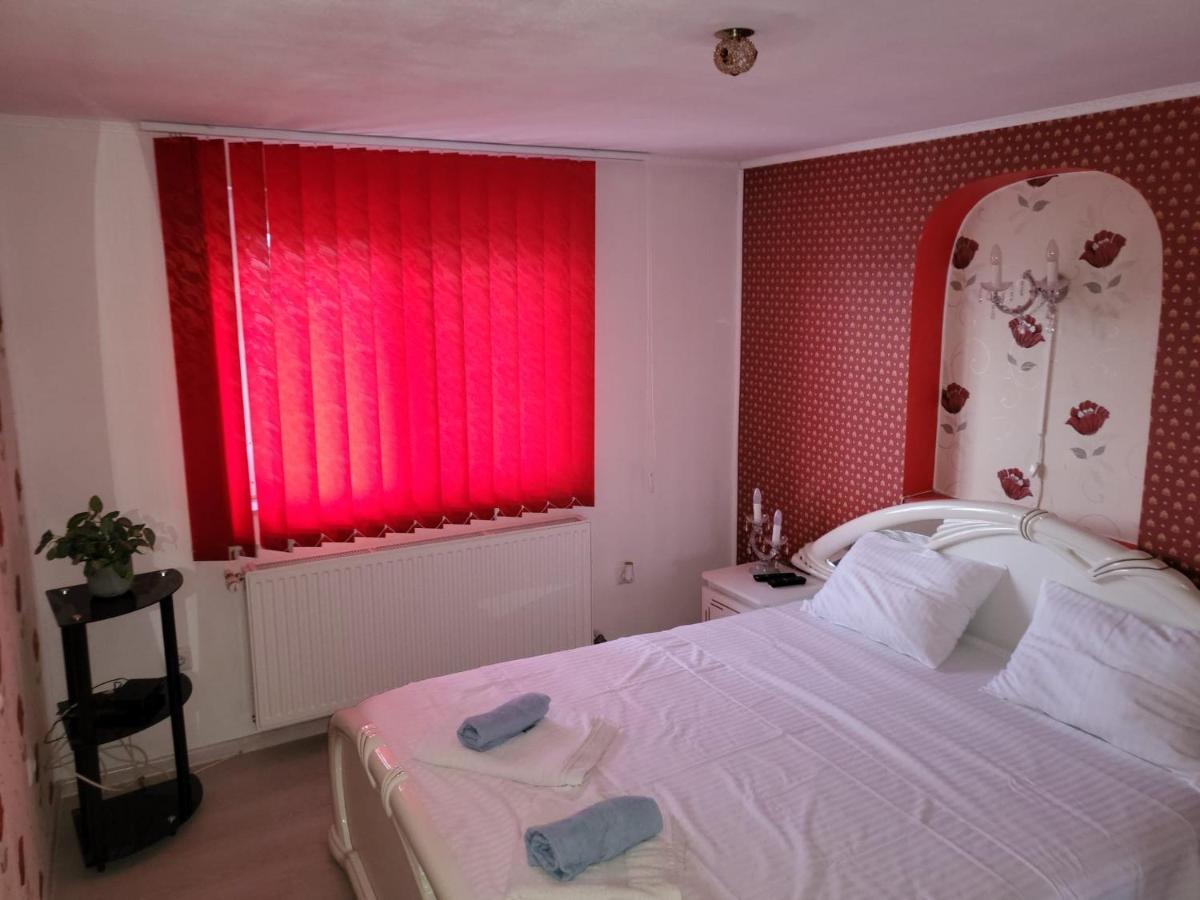 Vila Ana Cu Terasa Gratar Si Jacuzzi Villa Satu Mare Exteriör bild