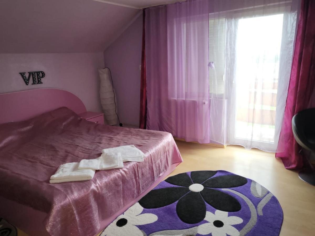 Vila Ana Cu Terasa Gratar Si Jacuzzi Villa Satu Mare Exteriör bild