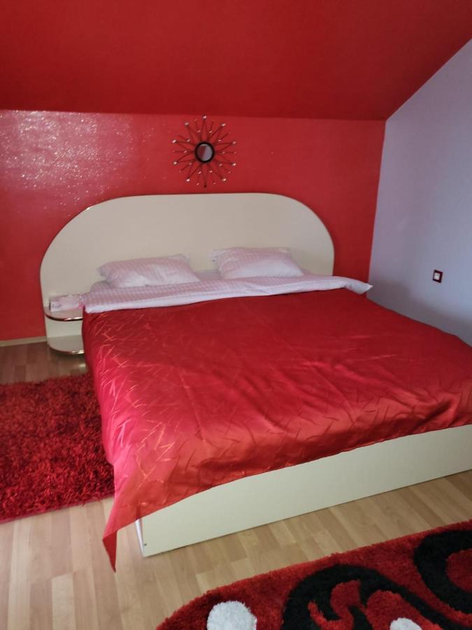 Vila Ana Cu Terasa Gratar Si Jacuzzi Villa Satu Mare Exteriör bild