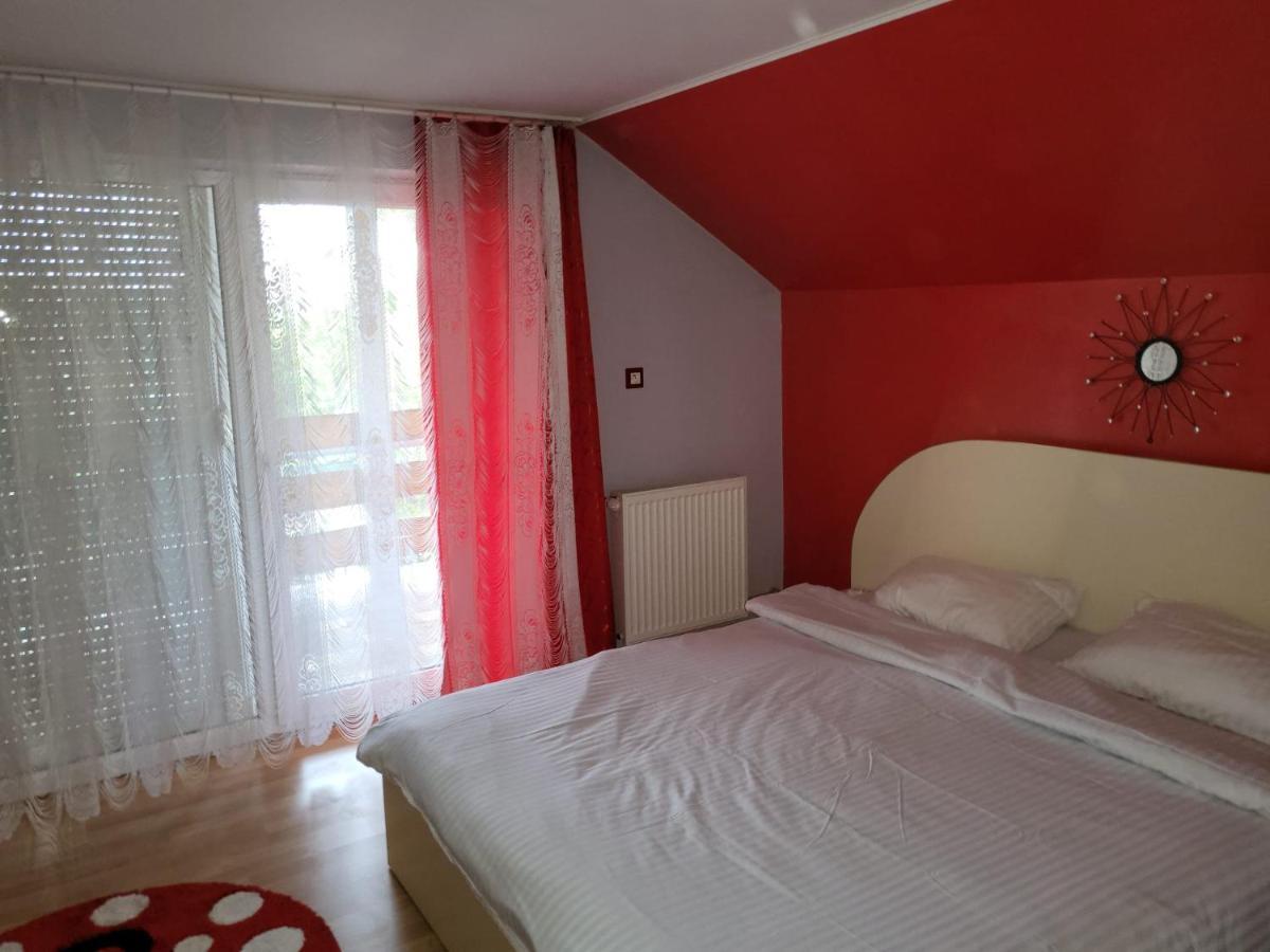 Vila Ana Cu Terasa Gratar Si Jacuzzi Villa Satu Mare Exteriör bild