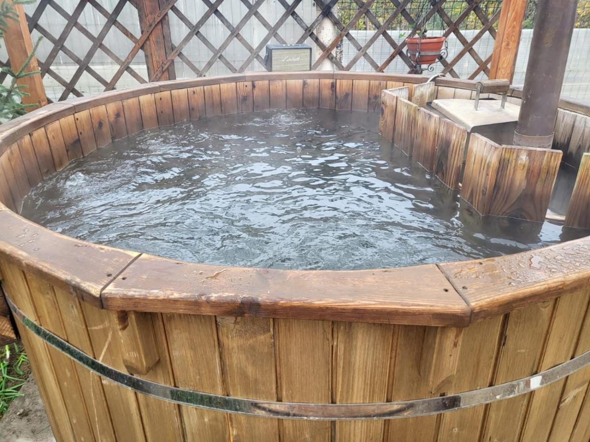 Vila Ana Cu Terasa Gratar Si Jacuzzi Villa Satu Mare Exteriör bild