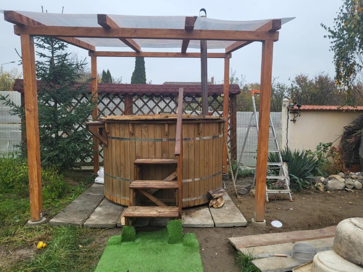 Vila Ana Cu Terasa Gratar Si Jacuzzi Villa Satu Mare Exteriör bild