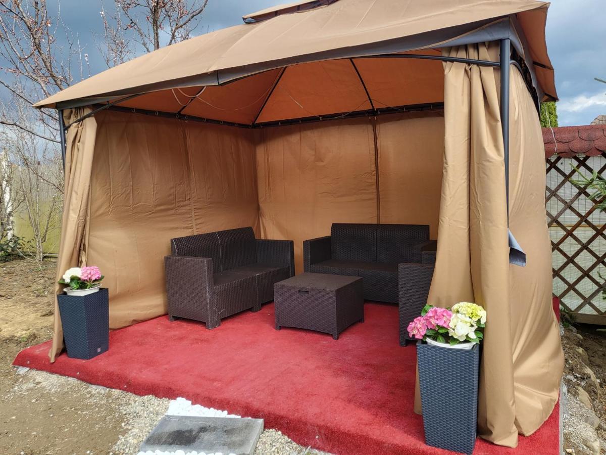 Vila Ana Cu Terasa Gratar Si Jacuzzi Villa Satu Mare Exteriör bild